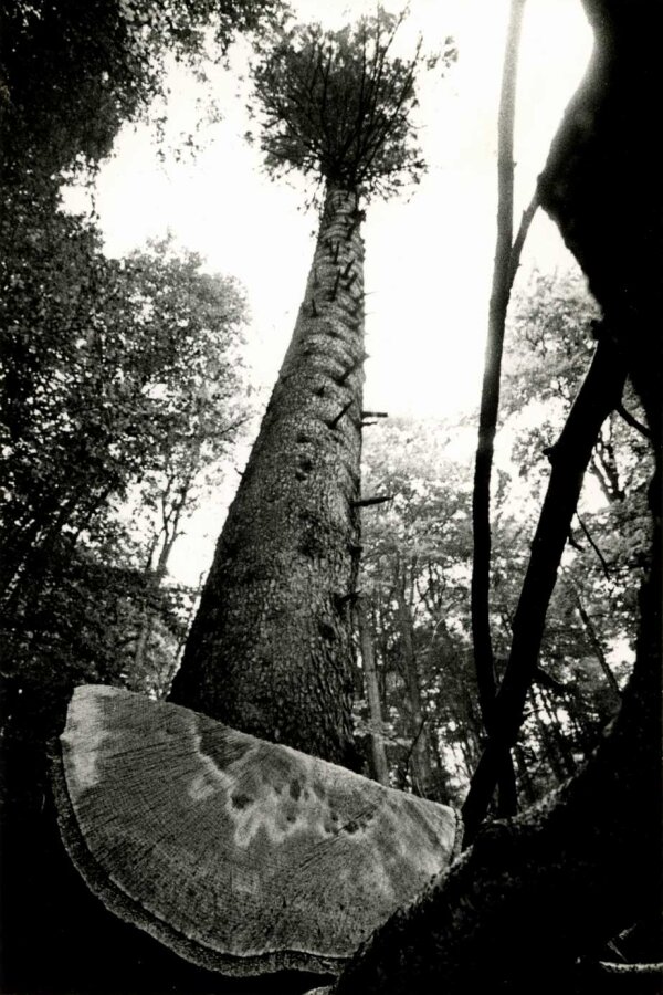 Foto Vladislav Galgonek, ul. J. Švermy 13, Český Těšín